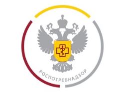 Снимок